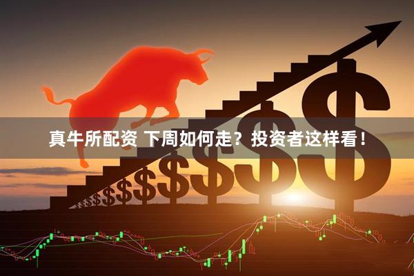 真牛所配资 下周如何走？投资者这样看！