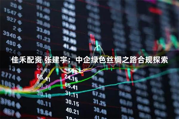 佳禾配资 张建宇：中企绿色丝绸之路合规探索
