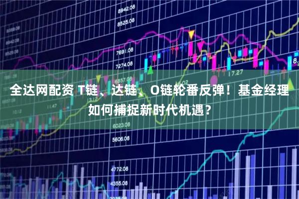 全达网配资 T链、达链、O链轮番反弹！基金经理如何捕捉新时代机遇？